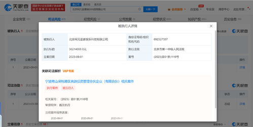 網元圣唐被強制執行3821萬元，背后折射數字內容制作服務風險